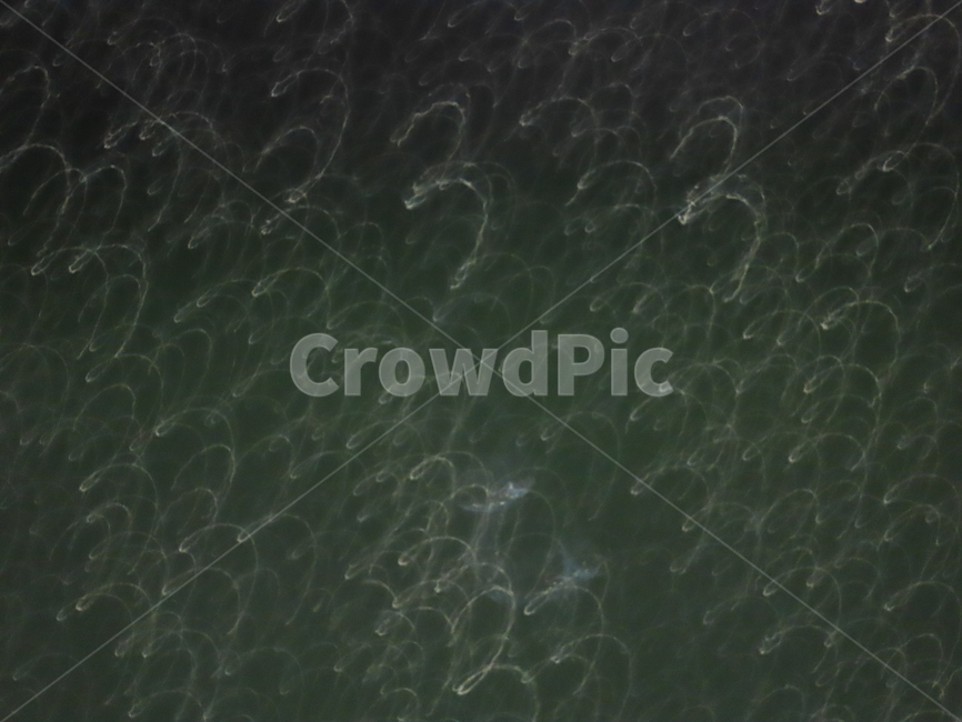 패턴,물방울,어지러운,스크래치,pattern,drip,dizziness,scratch,텍스처,질감,패턴,texture,pattern