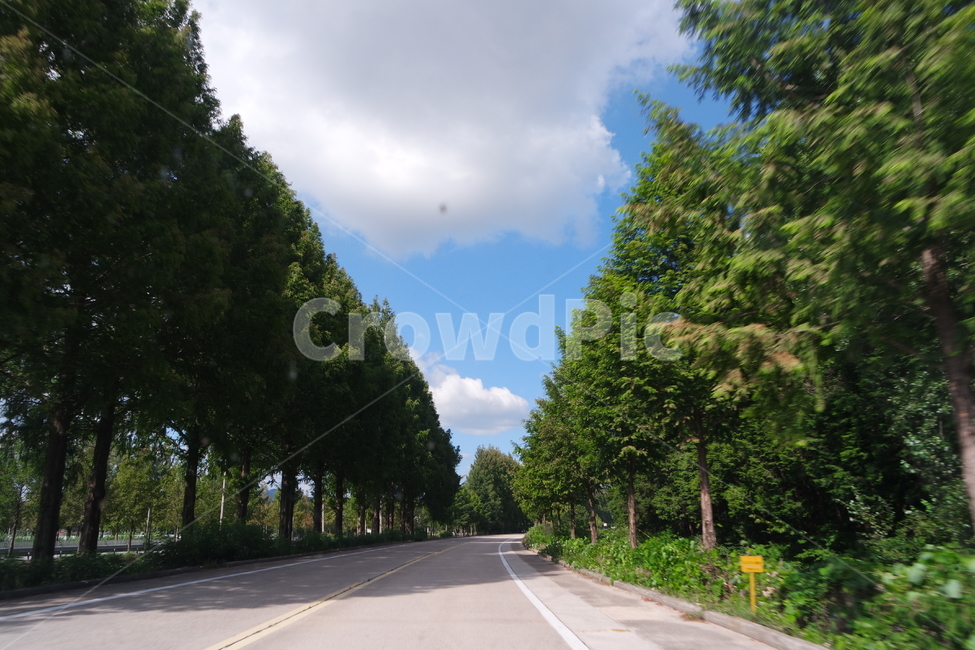 숲길,나무,하늘,구름,드라이브,자연,풍경,nature,landscape,road,도로,freeway,고속 도로,asphalt,아스팔트,highway,고속도로