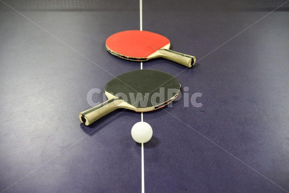 탁구,탁구대,스포츠,탁구라켓,탁구공,tabletennis,스포츠,레저,운동,sports,leisure,exercise,사물,물건,오브젝트,thing,object,matter