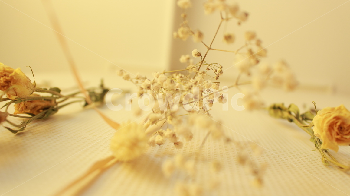 말린꽃,인테리어,감성,꽃장식,드라이플라워,벽장식,인테리어디자인,아날로그,꽃,flower