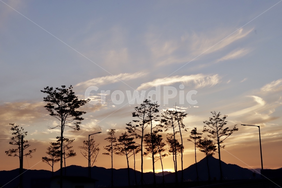 노을,하늘,구름,해질녘,나무,자연,몽환,산,주황,파랑,고독,어두움,질주,oars,sky,cloud,sunsets,trees,nature,Mongolia,mountains,sulfur,blue,solitude,식물,자연,plants,nature,나무,trees,wood