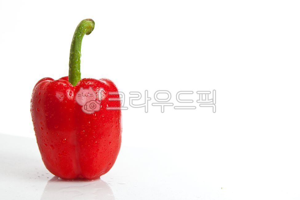 파프리카,야채,식재료,건강,피망,식물,신선함,날것,고추류,빨강,음식,채소,디저트,흰색배경,푸드,식자재,요리재료,plant,paprika,vegetables,foodingredients,health,bellpeppers,plants,freshness,peppers,dessert,whitebackground,food,cookingingredients,음식,식재료,요리,food,cook,meal,dishes,food reserves,채소,야채,vegetables