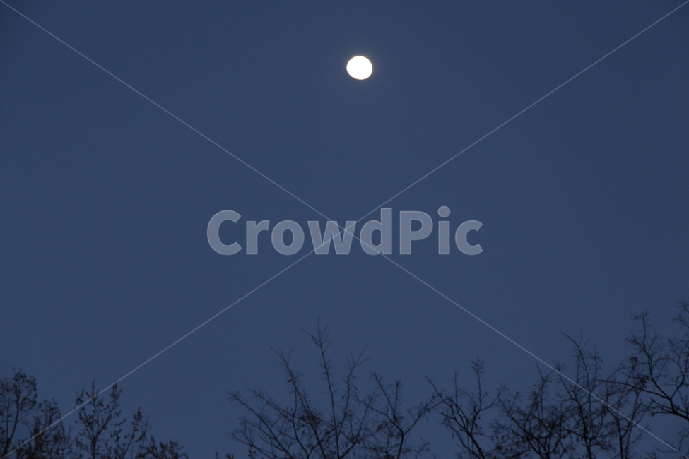 nature,자연,outdoors,옥외,night,밤,space,우주,astronomy,천문학,달