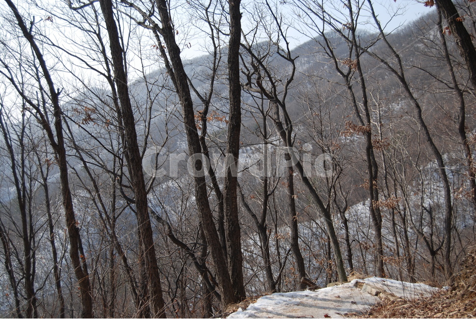 광덕사,장군바위,박씨샘,자연의위대함,등산로,능선,아름다움,신비스런산,돌,산행,힐링,자연,감성,등산,계절,여행,한국,한국명산,한국등산,풍경,눈,나무,하늘,바람,바람소리,환경,생태계,산,땅,겨울,계절,winter,season,자연,풍경,nature,landscape,한국자연풍경,한국자연경관,korea nature landscape,plant,식물,tree