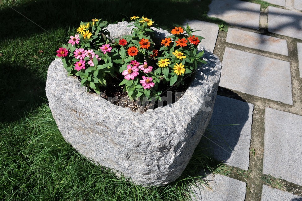 보도블럭,잔디,조경,돌,석재,화분,화단,꽃,봄,풍경,식물,자연,plants,nature,꽃,flower
