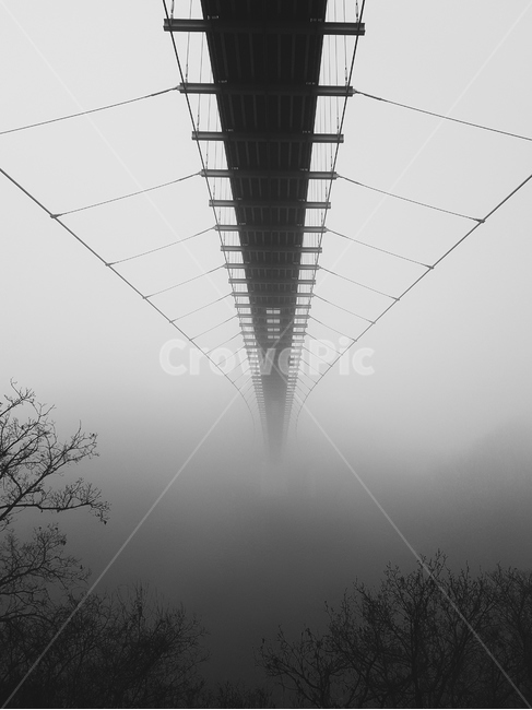 다리,bridge,흑백,나무,bnw,흑백,모노톤,monochrome,black and white,건축물,건물외관,exterior,building,structure,architecture,construction