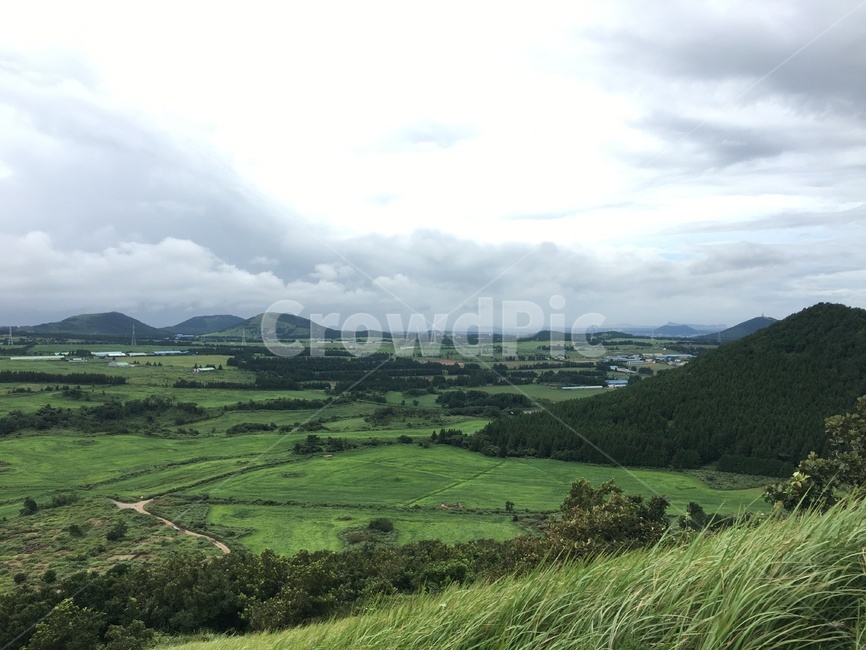 자연,nature,제주도,오름,tree,자연,풍경,nature,landscape,outdoors,옥외,hill,언덕