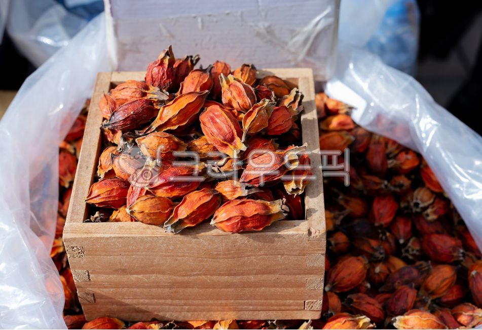 Gardenia,dried gardenia,gardeniafruit,driedgardenia,herbal medicine,herbal medicine,herbalmedicine,traditional market,oriental medicine,naturalremedy,oriental medicine,herbal medicine,medicinalherb,natural coloring,health food,koreanherb,m