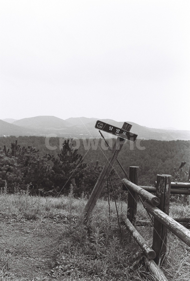 제주,오름,나무,흑백,앞오름,자연,풍경,nature,landscape,흑백,모노톤,monochrome,black and white