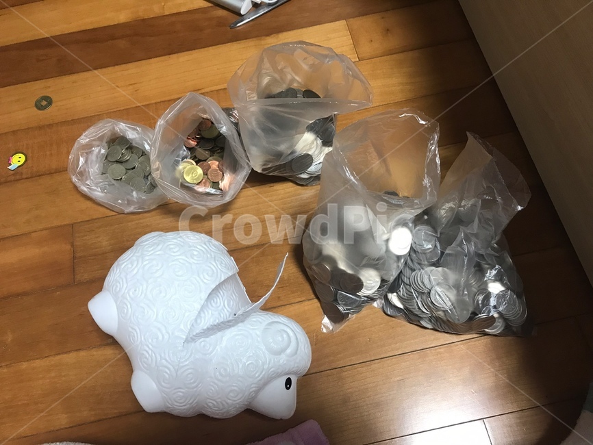 저금통,동전,돈,양,아기양