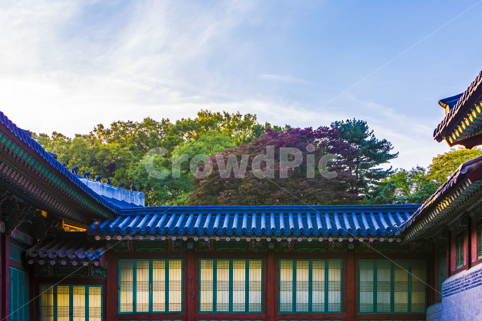 고궁,기와,지붕,창호,문풍지,전통가옥,단청,채색,문화유산,문화재,한국전통,한국문화,korean traditional,korean culture,건축물,건물외관,exterior,building,structure,architecture,construction