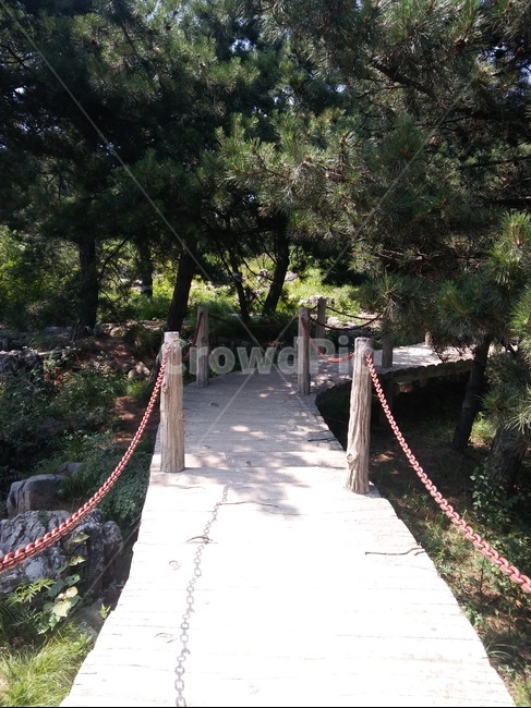 길,숲,나무,산속,바위,자연,풍경,nature,landscape