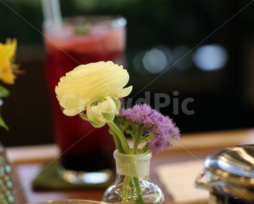꽃,찻집,만나다,마시다,음료,생화,향기로운,식물,자연,plants,nature,꽃,flower