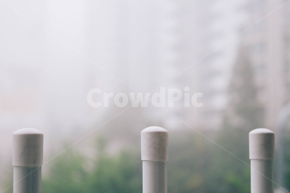 안개,비오는날,비,white,rain,rainyday,몽환,자연,풍경,일상,나무,여름,평온,cozy,blur,하얀,촉촉한,차분한,감성,sensible,feeling