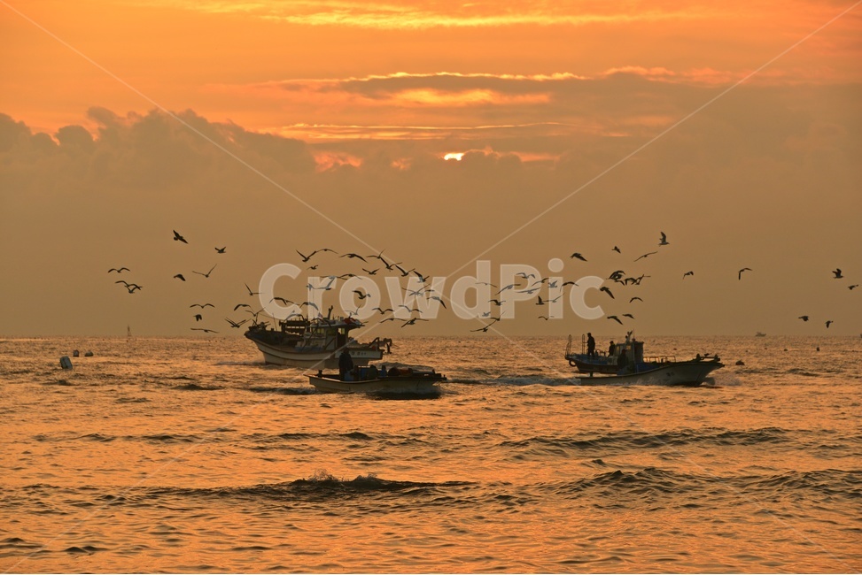 sky,하늘,redsky,붉은하늘,flare,플레어,light,빛,nature,자연,outdoors,옥외,boat,보트,bird,새,울산,울주,강양항,강양항배,강양항멸치잡이배,강양항일출,갈매기,강양항갈매기,강양항아침,귀항