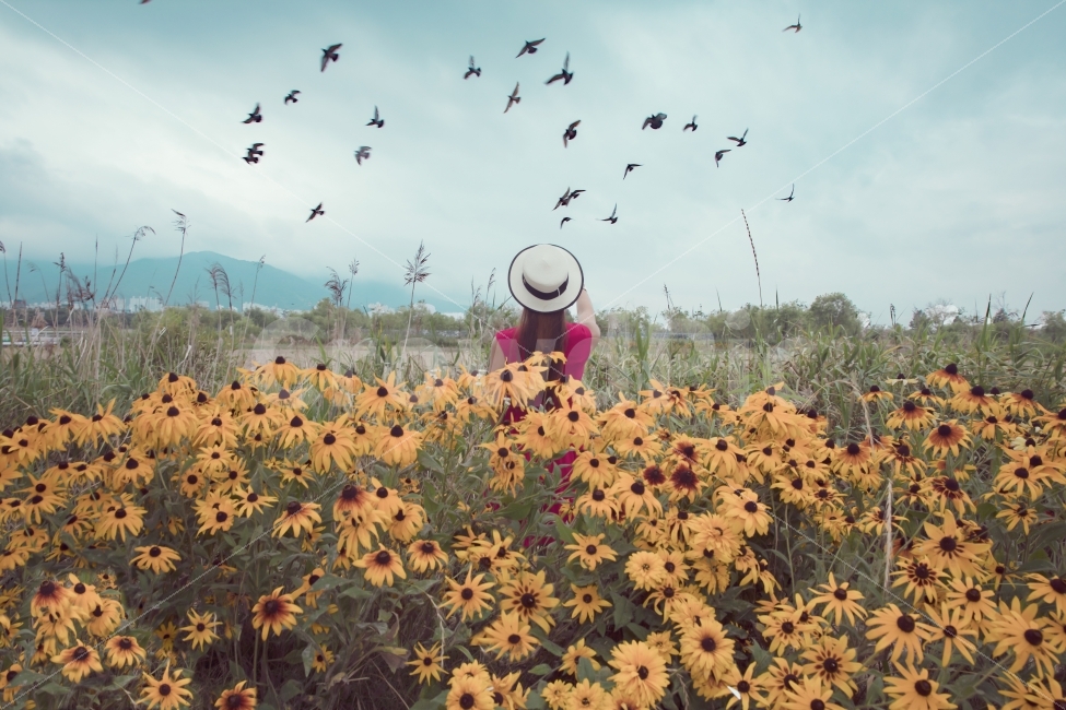 루드베키아,대저생태공원,감성사진,스냅,봄,식물,자연,plants,nature,꽃,flower,사람,인물,인간,human,person,여성,여자,woman,female,lady,감성,sensible,feeling,연출,컨셉,콘셉,direction,concept