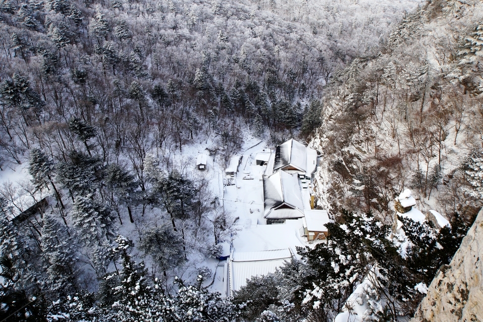 태백산,유일사,사찰,설경,풍경,겨울,계절,winter,season,자연,풍경,nature,landscape,한국자연풍경,한국자연경관,korea nature landscape,plant,식물,tree,나무,outdoors,옥외