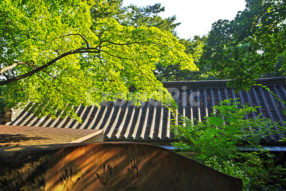 길상사,사찰,성북동,불교,절,기와,한옥,한국전통,한국문화,korean traditional,korean culture,건축물,건물외관,exterior,building,structure,architecture,construction