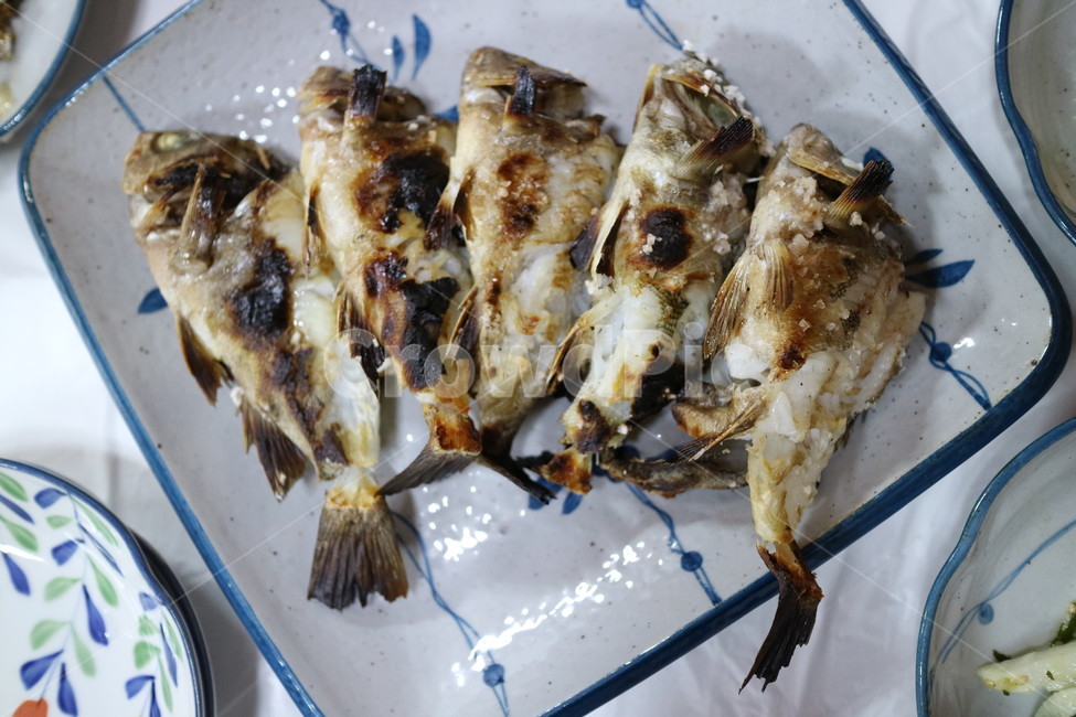 볼락,생선,생선구이,물고기,맛있는생선,자연산,통영볼락,통영,음식,식재료,요리,food,cook,meal,dishes,food reserves,수산물,해산물,fishery products,seafood,한식,한국음식,한국요리,korean food,korean dishes,korean meal,korean cook