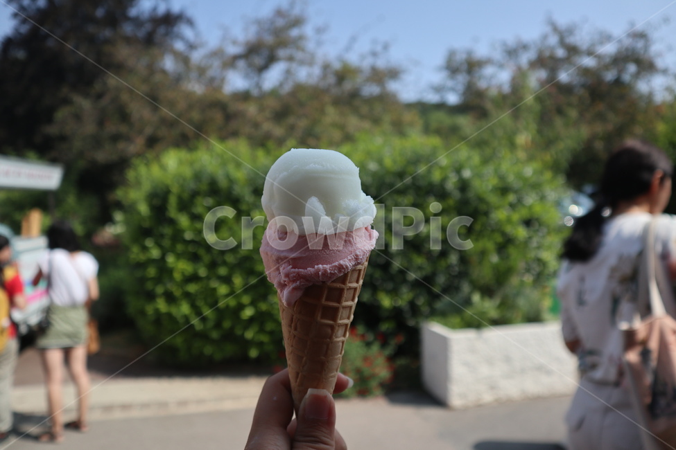 아이스크림,콘아이스크림,아이스크림콘,지베르니,아이스크림트럭,icecream,음식,식재료,요리,food,cook,meal,dishes,food reserves,디저트,간식,후식,dessert,snack