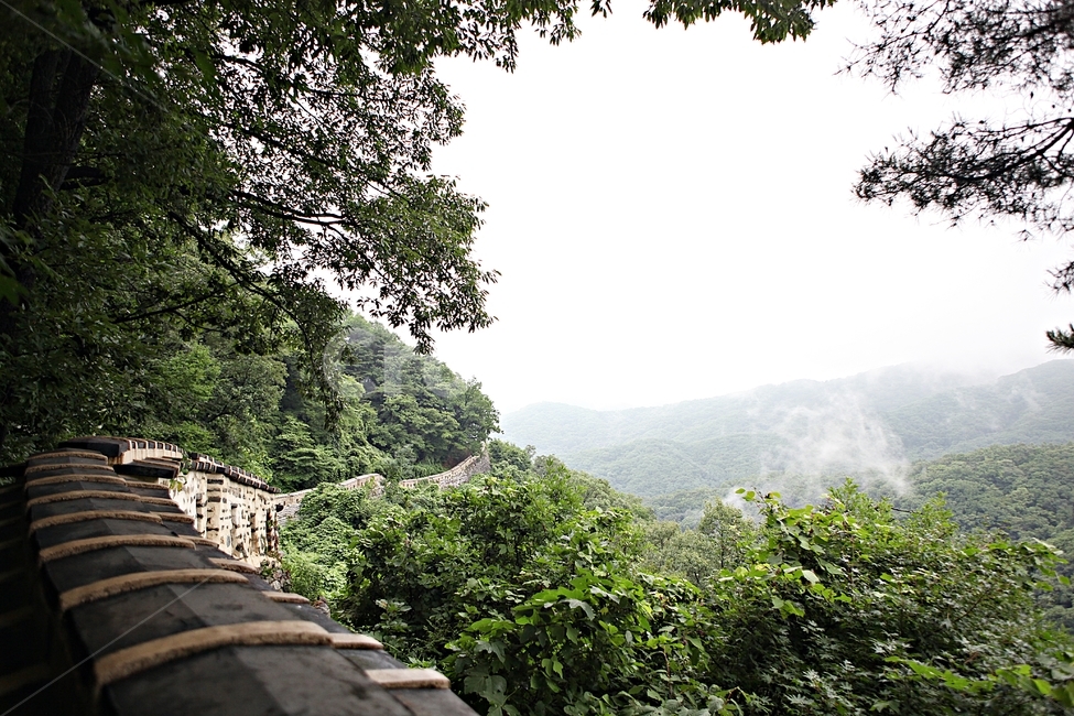 남한산성,성,성곽,길,둘레길,벽,숲,숲길,담,돌담,여름,풍경