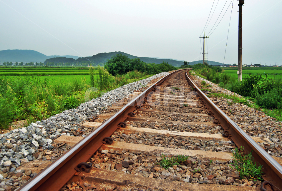 철길,기찻길,자연,전원,논,수풀,전신주,철로,교통,교통수단,traffic,transportation