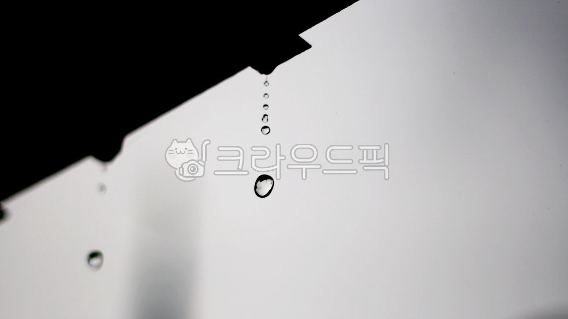 작은물방울,droplet,물방울,waterdrop,비,rain,빗방울,raindrop,물,water,야외,outdoor,자연,nature