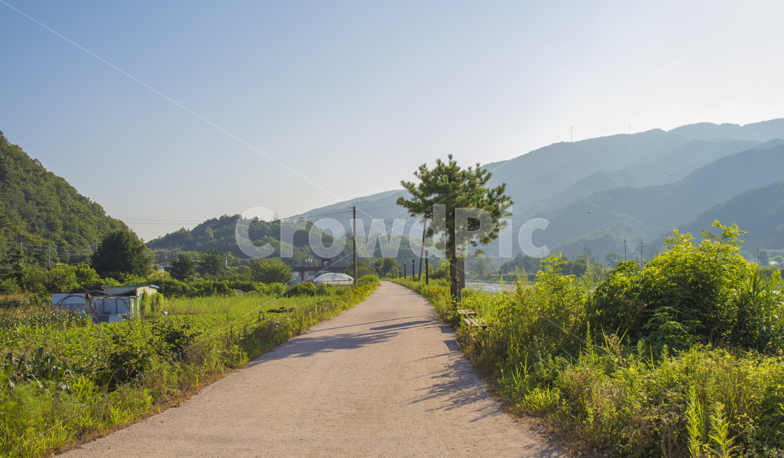 여름,강가,하천길,길,초록,강변길,강원도,철원,시골,마을,풍경,landscape,country,rural,town