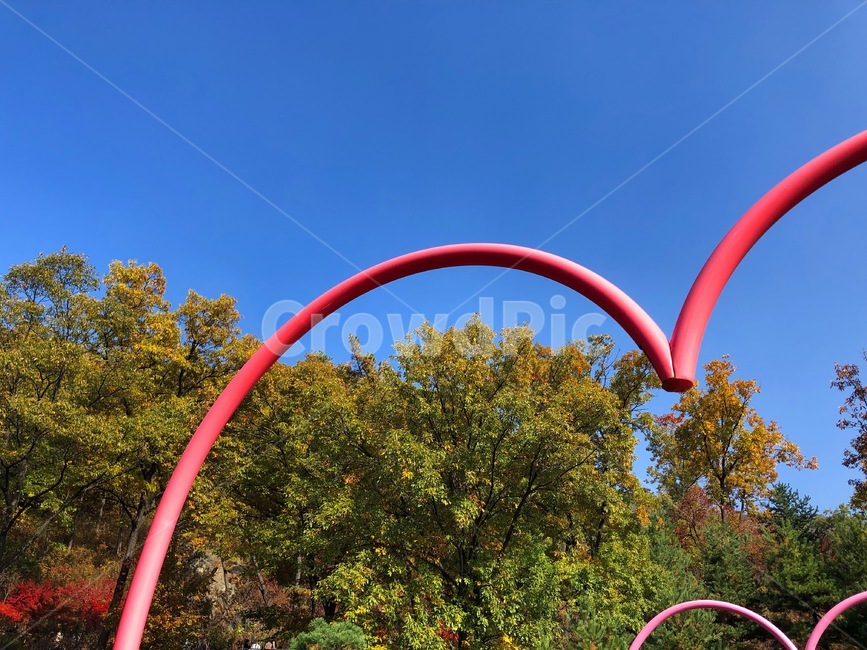 하늘,가을,가을하늘,나무,자연,단풍,단풍구경,단풍명소,하트,파란하늘,맑은,가을단풍,가을풍경,fall,가을,계절,fall,autumn,season