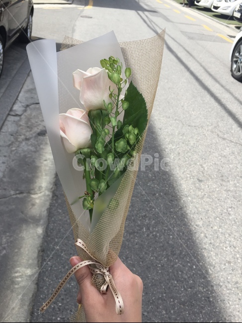 plant,flower,flowerarrangement,blossom,flowerbouquet,꽃,장미,기념일