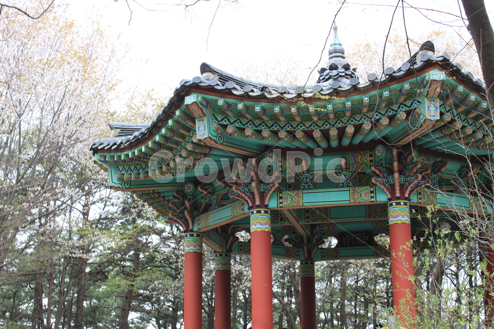 공원,정자,소나무,gazebo,park,한국전통,한국문화,korean traditional,korean culture,건축물,건물외관,exterior,building,structure,architecture,construction