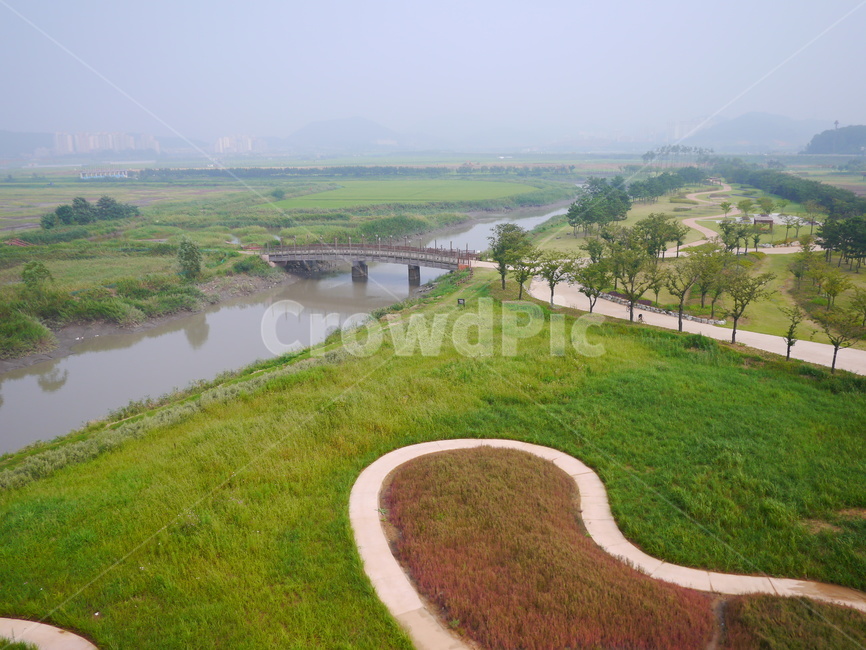 시흥갯골생태공원,시흥,공원,자연,나들이,자연,풍경,nature,landscape,outdoors,옥외,grass,잔디,plant,식물