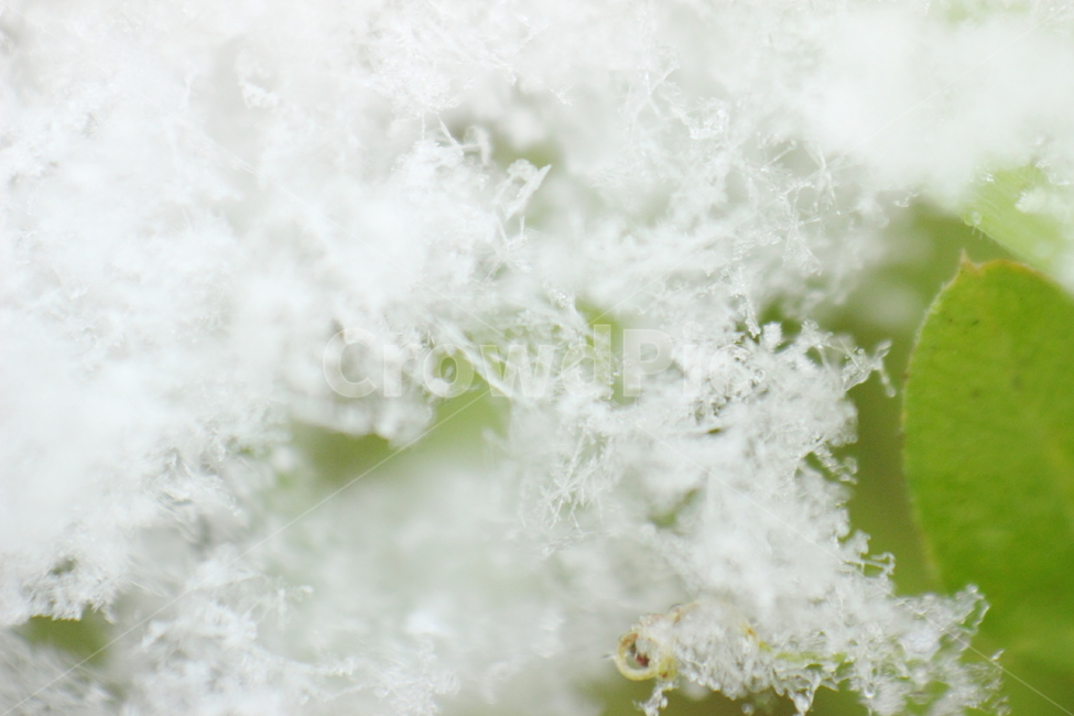 nature,자연,outdoors,옥외,ice,빙,snow,눈,클로즈업,눈결정,결정,겨울,계절,winter,season