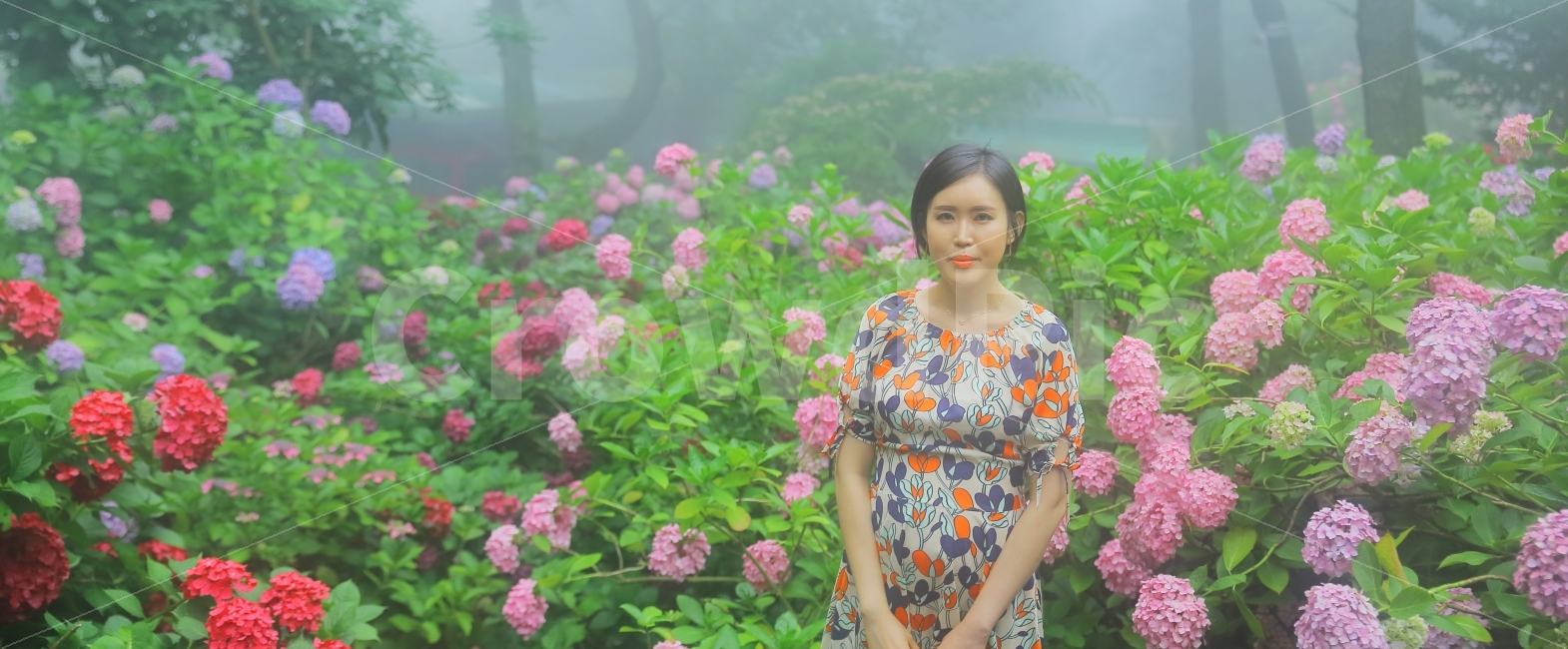 부산,수국,태종대,여자,꽃밭,식물,자연,plants,nature,꽃,flower,사람,인물,인간,human,person,여성,여자,woman,female,lady
