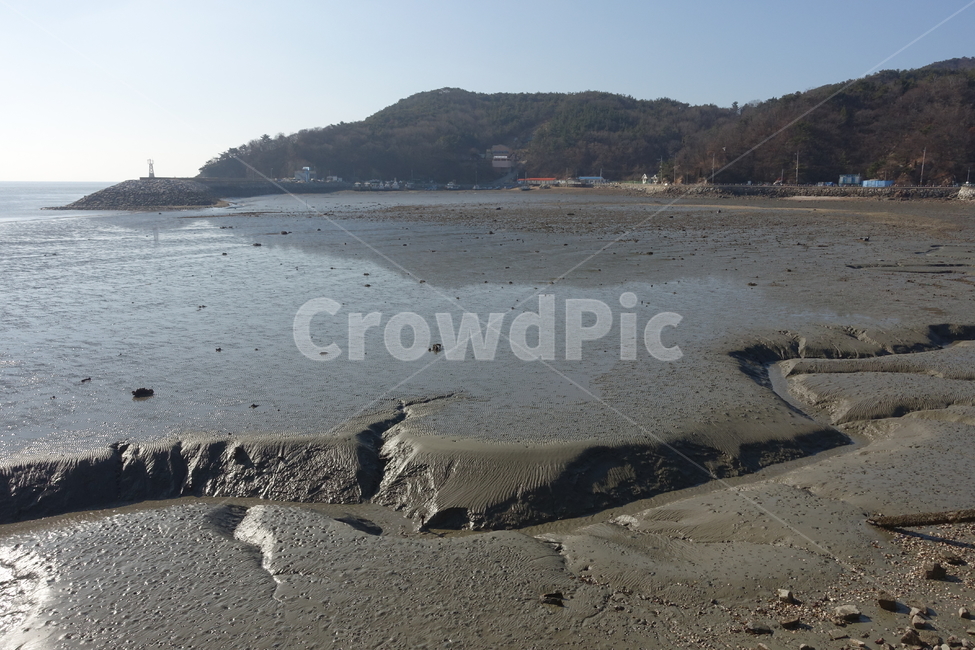 해변,바닷가,바다,섬,갯벌,뻘,물길,진흙,자연