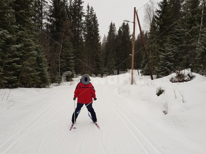 nature,human,outdoors,person,snow,sports,자연,인간,스포츠,눈,스키,노르딕스키,산,ski,winter,nordicski,leisure,norway,노르웨이,여행,휴가,traveling,vacation,trip