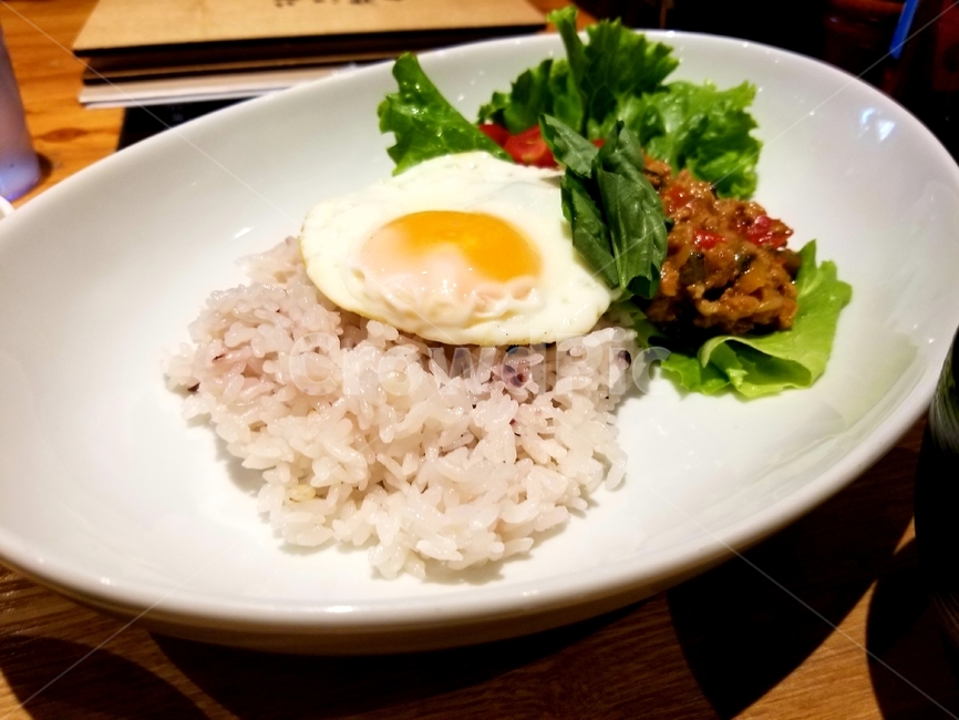 food,음식,저녁,가파오,외국요리,음식,식재료,요리,food,cook,meal,dishes,food reserves