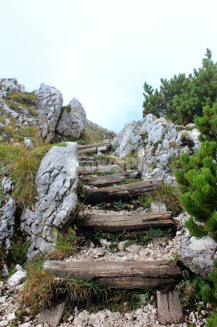 유럽,오스트리아,짤츠부르크,운터스베르크산,알프스산맥,untersberg,산속계단,나무계단,풍경,자연풍경,자연