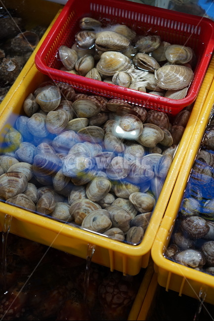 조개,바지락,해산물,수산시장,횟집,시장,마트,마켓,market,mart,market place,수산물,해산물,fishery products,seafood
