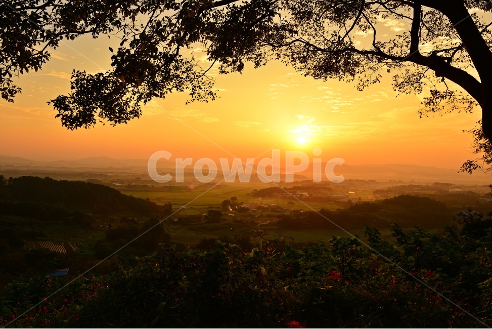 nature,자연,scenery,풍경,outdoors,옥외,landscape,경치,sunlight,햇빛,flare,플레어,light,빛,함평,밀재,밀재일출,아침,해돋이,여명