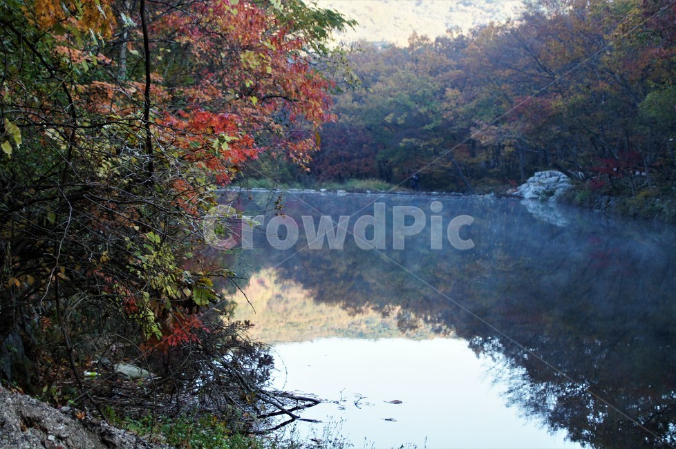 가을,단풍,나무,자연,식물,안개,저수지,감성,autumn,nature,season,emotion,풍경,자연풍경,산속,trees,가을,계절,fall,autumn,season,자연,풍경,nature,landscape,water,물,outdoors,옥외,land,땅