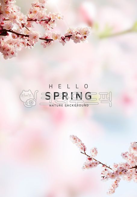 beauty,Spring background,cherryblossom,hope,branch,spring,glare,copy space,sight,season,landscape scenery,decoration,warmth,tree,cherry blossom tree,light,Leisure,background,plant,Sunny,template,Cherry Blossom,March,air,title,summer,petal,fallen leaves,ev