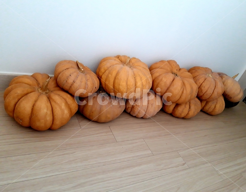호박,늙은호박,수확,식재료,채소,음식,식품,야채,pumpkin,food,cook,meal,음식,식재료,요리,food,cook,meal,dishes,food reserves,채소,야채,vegetables