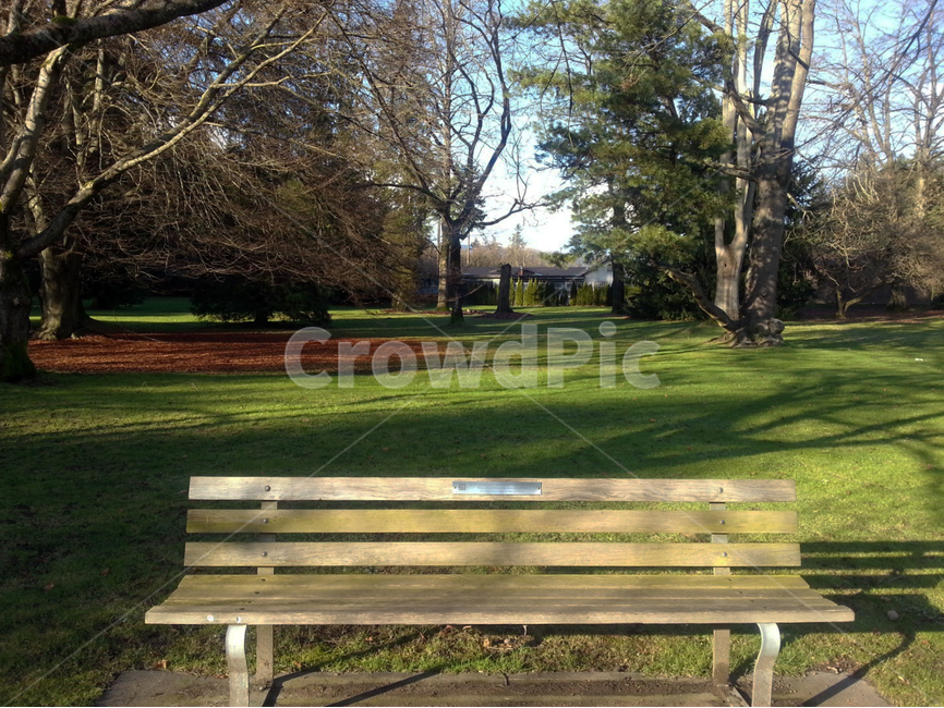 공원,초록,햇살,자연,나무,season,벤치,bench,나무벤치,감성,풍경,힐링,healing,nature,자연,풍경,nature,landscape,park bench,공원 벤치