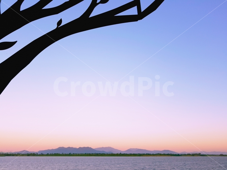 하늘,구름,풍경,sky,clouds,view,감성,바탕화면,자연,nature,자연,풍경,nature,landscape,tree,나무,plant,식물