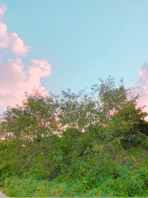 구름,풍경,배경,나무,숲,노을,감성,일상,자연,풍경,nature,landscape