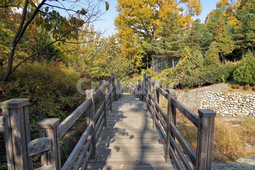 산책로,등산,나무길,하이킹,공원,걷기,자연,흔적,여행,나무,배경,보도,풍경,관광,모험,트랙,방향,잔디,갈색,긴장,바닥,다리,구조,등산로,길,자연,풍경,nature,landscape,railing,난간,handrail,banister,boardwalk,bridge,building,건물