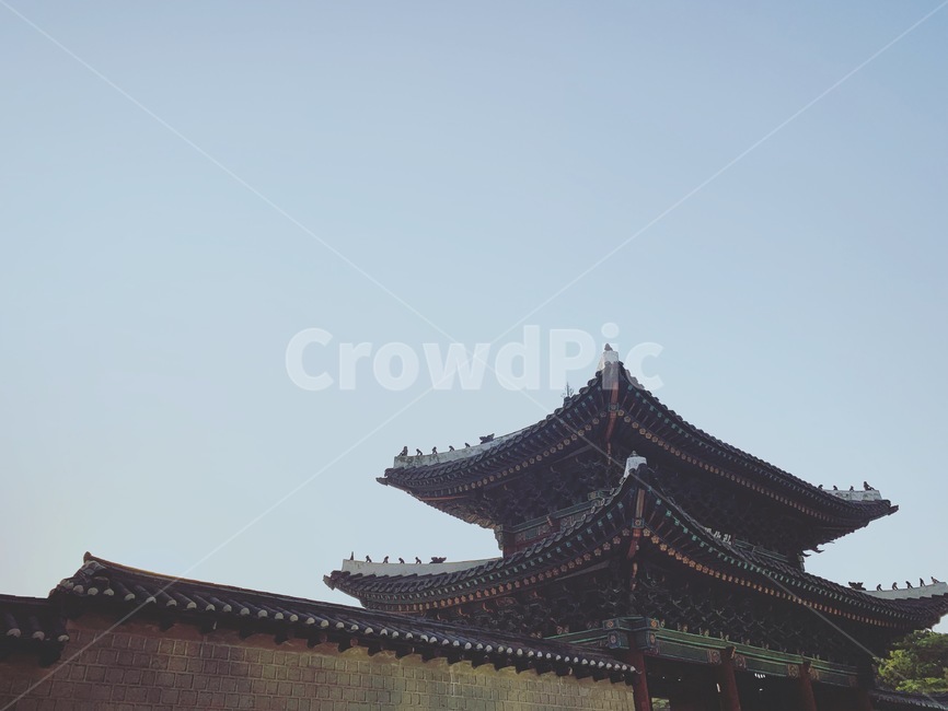 창경궁,한국,궁,서울,korea,한국전통,한국문화,korean traditional,korean culture,건축물,건물외관,exterior,building,structure,architecture,construction