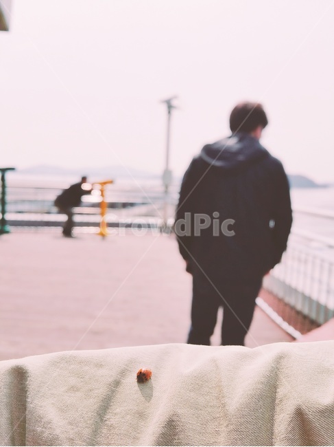 무당벌레,인천,쉼,팔,여유,산책,구름낀날