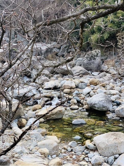 rock,록,rubble,파편,자연,nature,계곡,valley,지리산,감성,휴가,힐링,풍경,landscape,옥외,outdoor,식물,plant,나무,tree,바위